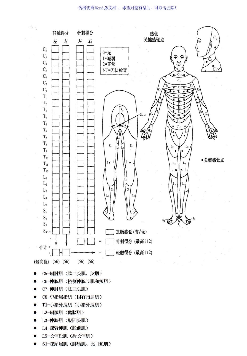 脊髓損傷的康復(fù)