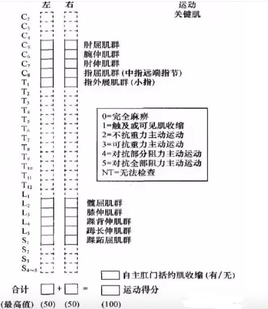 脊髓損傷的康復(fù)